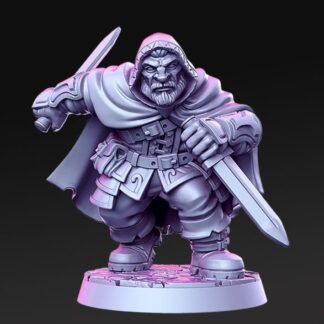 Orwin the Dwarf Rogue