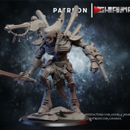 Elda 3 Wraith Lord - Ghamak
