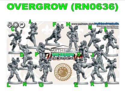 Fantasy Football - "Overgrow" Wood Elves - Full team, 16 models! - Player P Team/Primed/Clear - Image 2
